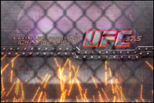 Ultimate Fighting Championship (UFC)